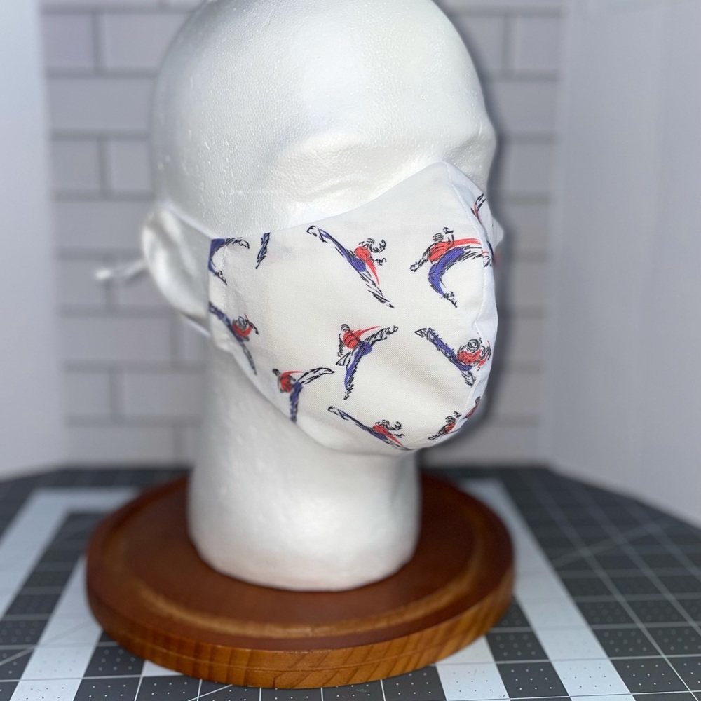 Sparring face mask martial arts taekwondo